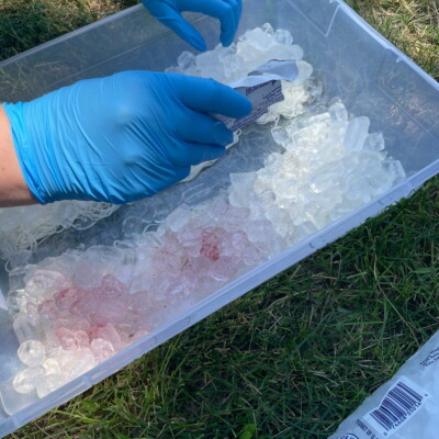 Sprinkling dye powder onto ice